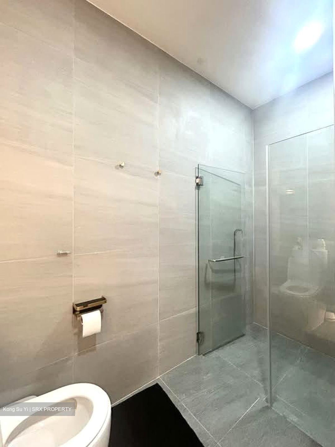 Shamrock Park (D10), Apartment #574541421